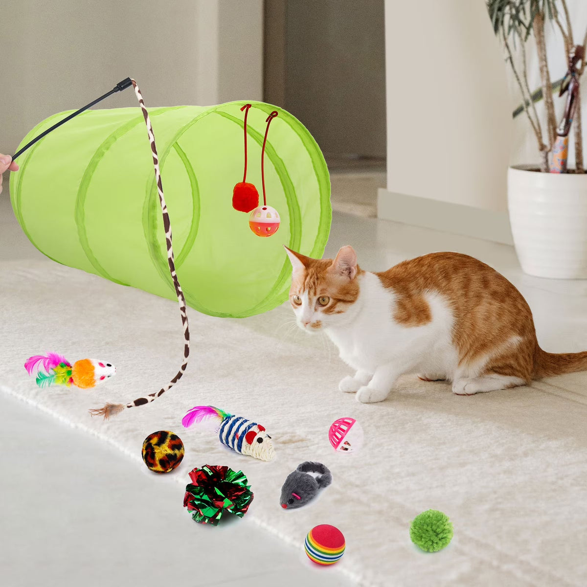 Cat Toys