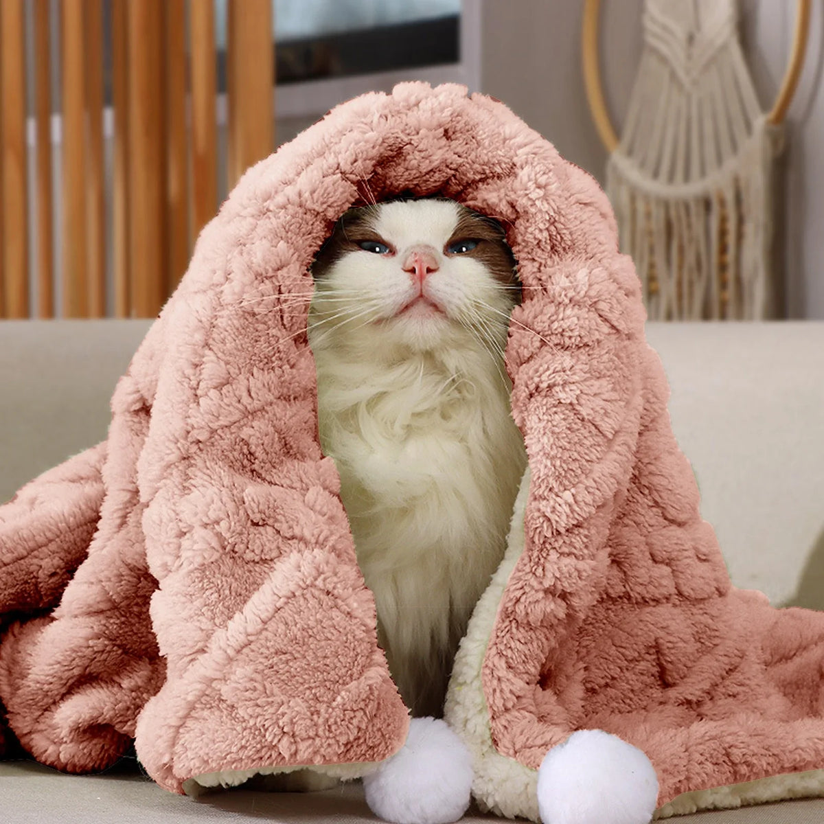 Pet Blankets