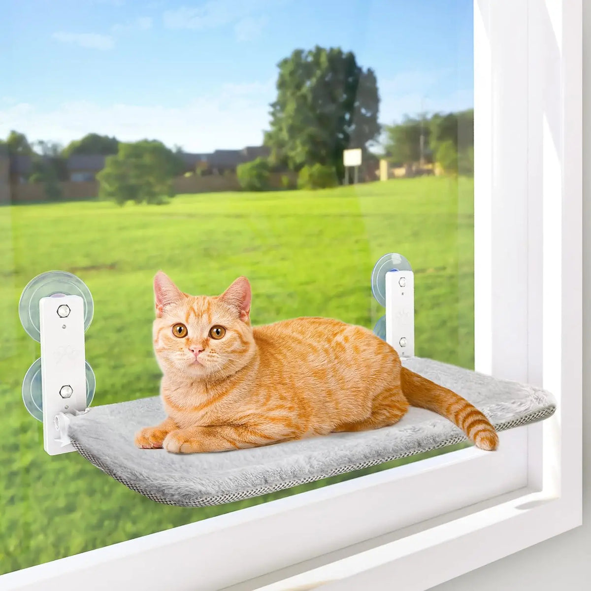 Cordless Cat Window Perch Hammock with 4 Strong Suction Cups, Metal Frame, Cushion Cover, Indoor Cat Bed, L Stripe