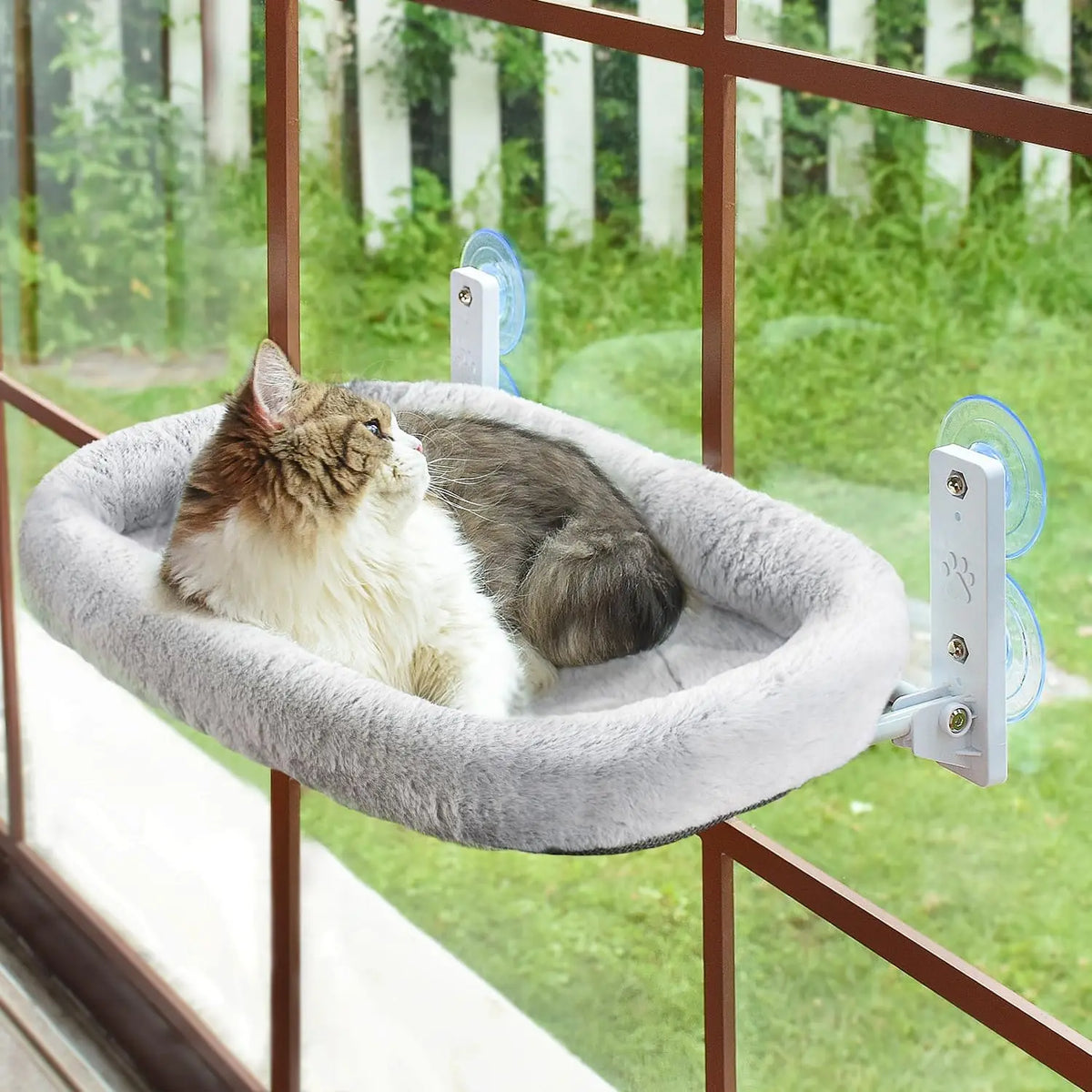 Cordless Cat Window Perch Hammock with 4 Strong Suction Cups, Metal Frame, Cushion Cover, Indoor Cat Bed, L Stripe